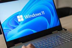 Try fixing your Windows 11 24H2 network issues with these steps